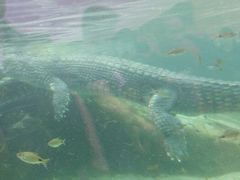 android_upload_pic-河川生态园