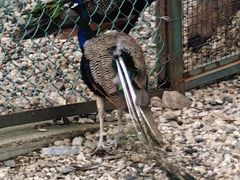 -南京金牛湖风景区