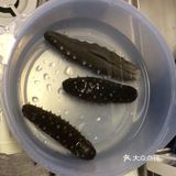 海参猪肉香菇馄炖，桃子宝宝的完美主食