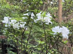 -成都杜甫草堂博物馆