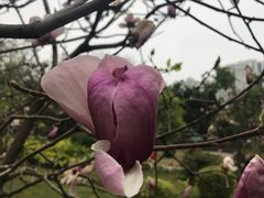 -晓港公园