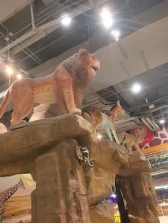 -鲁比猴非洲探索部落(喜盈门店)