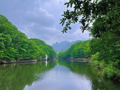 -洛阳白云山景区