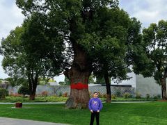 -养云安缦吧THE BAR