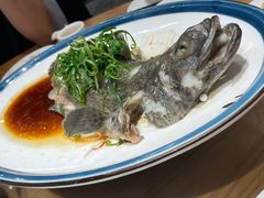 -琼菜王(南海店)