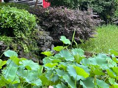 -东山雕花楼