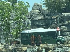 -北京野生动物园