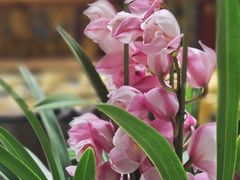 -青芝山风景名胜区