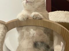 -美联众合24小时·皮肤科·外科·全科诊疗中心(华苑分院)
