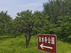 -白水寺森林公园