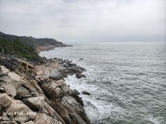 -广东惠东海龟国家级自然保护区