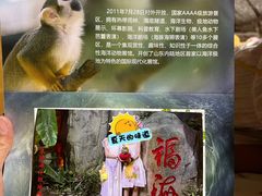 -泉城欧乐堡海洋极地世界