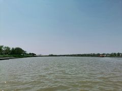 -南大港湿地风景区