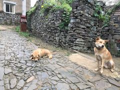 -许家山