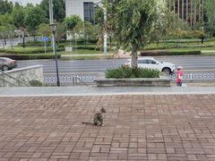 -一只羊烧烤(汤山店)