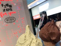 -野人先生现做冰淇淋(西安赛格店)