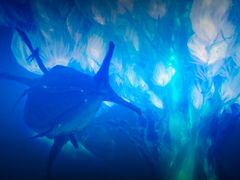 -金逸影城(明发IMAX店)