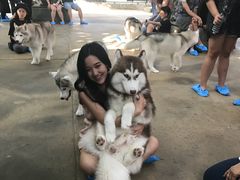 -TrueLove @ Neverland (Husky Cafe)