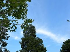 -星巴克(秦皇岛乐都汇店)