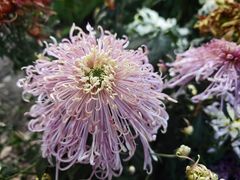 -共青国家森林公园-售票处