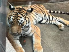 -西安秦岭野生动物园