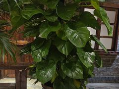 -丹江渔村(首都机场店)