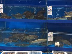 -果蔬好生活超市(乐堤港店)