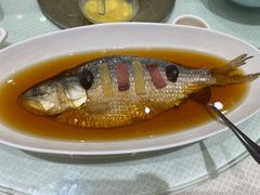 火焖鲥鱼-金时代顺风大酒店(瑞虹路店)