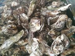 -四海鲜渔家菜(黄金海岸店)