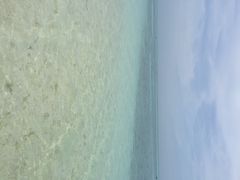 环滩岛-环滩岛