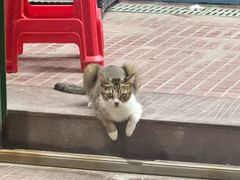 -双月饭店·20年老字号(新村店)