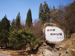 -白水寺森林公园
