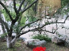 -万柳阁小馆·花园餐厅(龙潭湖店)