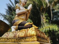 -曼听御花园