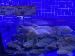 -徐记海鲜(大雁塔|金都店)