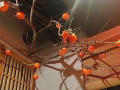 -赤宴·川菜(玉林店)