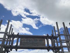 -哈素海
