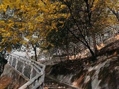 -重庆平顶山公园