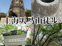 -上海佘山国家森林公园天马山园