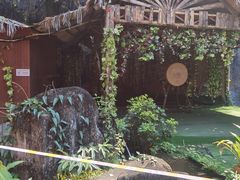 -西双版纳原始森林公园