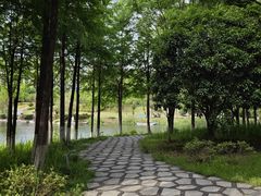 -洋湖国家湿地公园