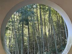 -仙霞关景区