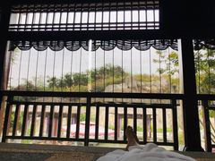 -凤翔首邑温泉度假村