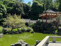 -清湖文化公园