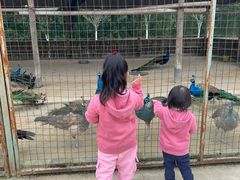 -韶关经律论国际酒店温泉