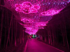 -昆山城市生态森林公园