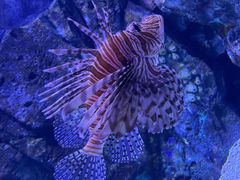 -正佳极地海洋世界