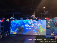 -常州海昌海洋探索馆