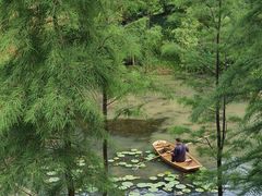 -云溪植物园