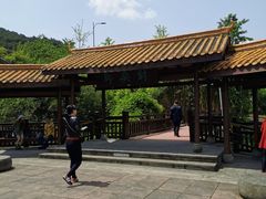 -铁山坪森林公园